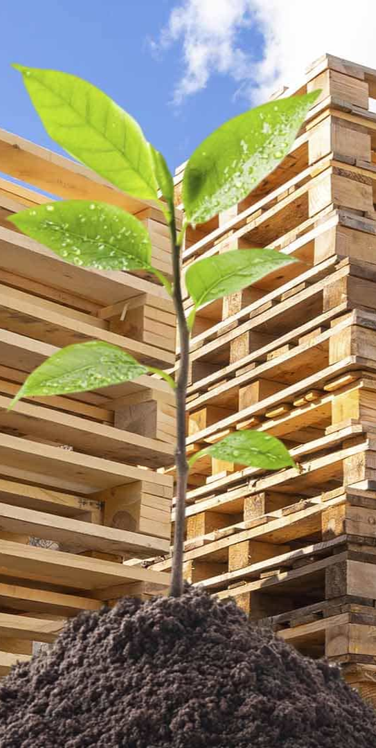 Palete Reciclado e Reformado Megabox